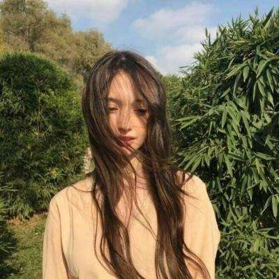 像素宠物z手游下载